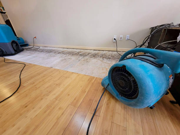 Professional Structural Drying technician working in Rockwell, NC